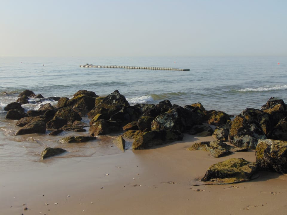 Strand Fujairah Rotana Resort & Spa