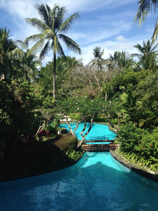 Widok na ogród  The Laguna A Luxury Collection Resort & Spa