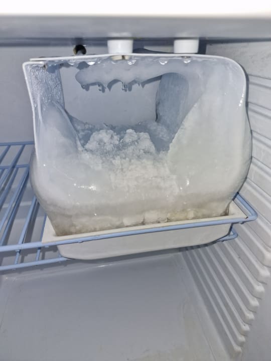 Zimmer Pickalbatros Citadel Resort