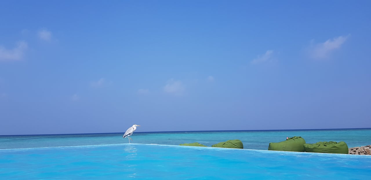 Strand Summer Island Maldives