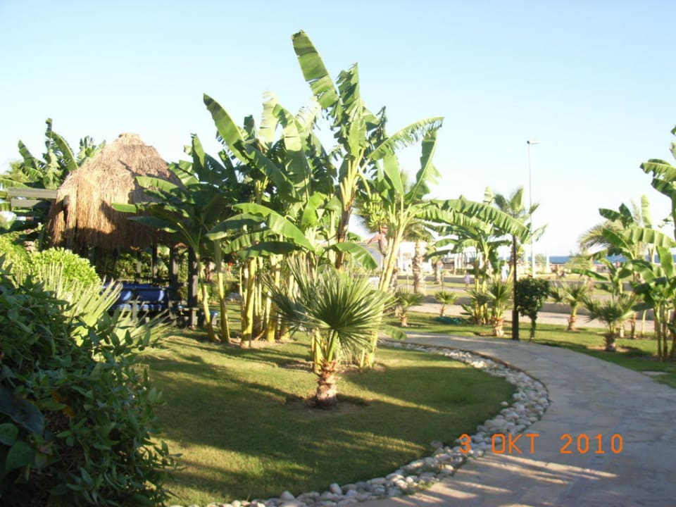 Gartenanlage Bella Resort & Spa