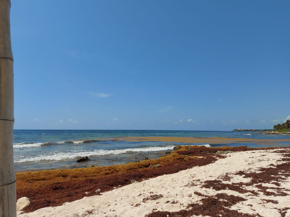Strand Akumal Bay Beach & Wellness Resort