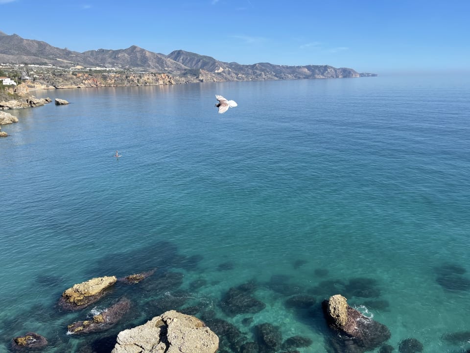 Strand Hotel Riu Monica - Adults only