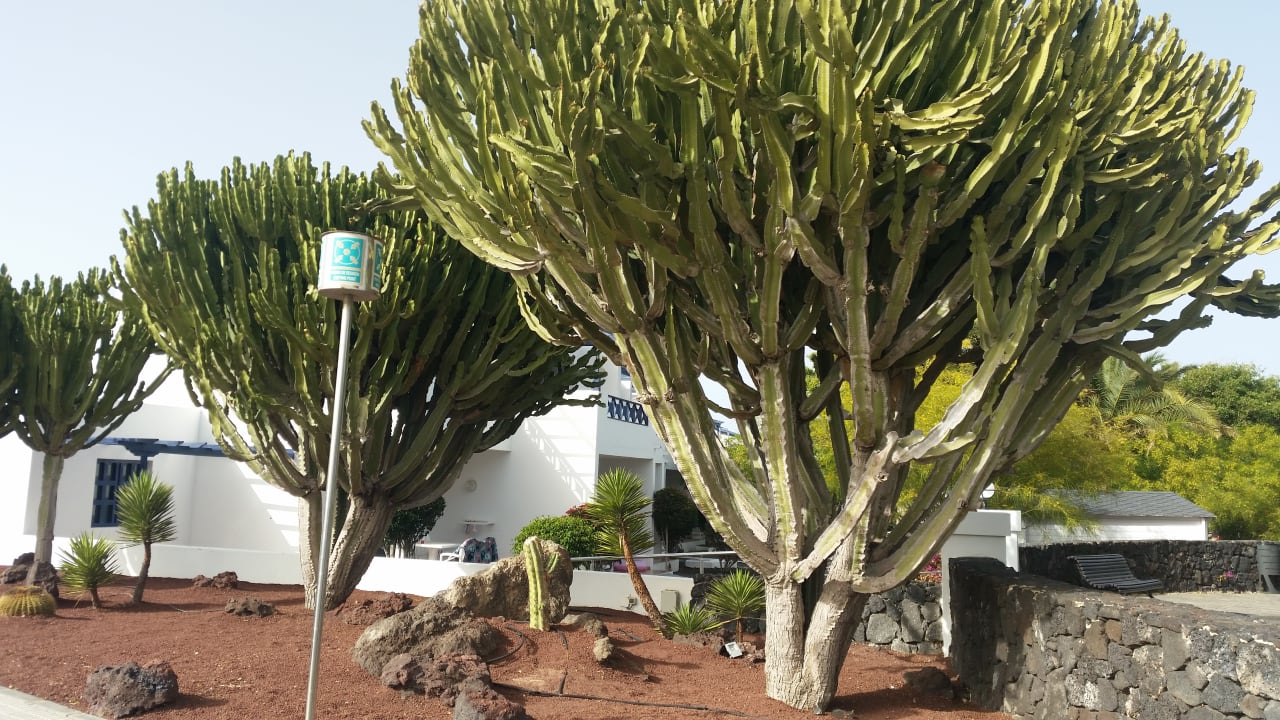 Gartenanlage Relaxia Olivina