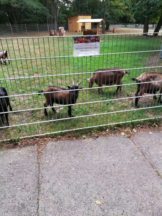 Gartenanlage AHORN Seehotel Templin