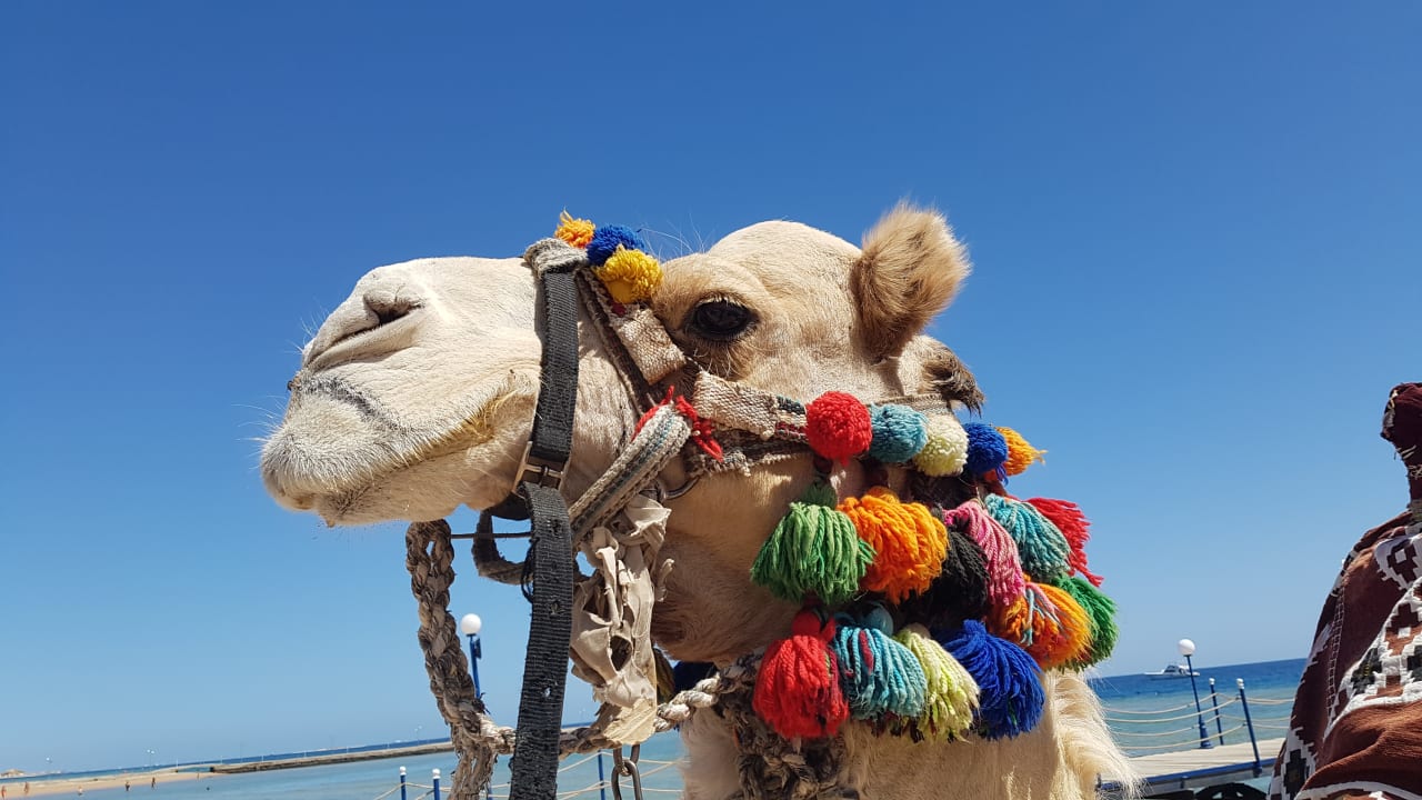 Sonstiges Seven Seas Jolie Bay Resort