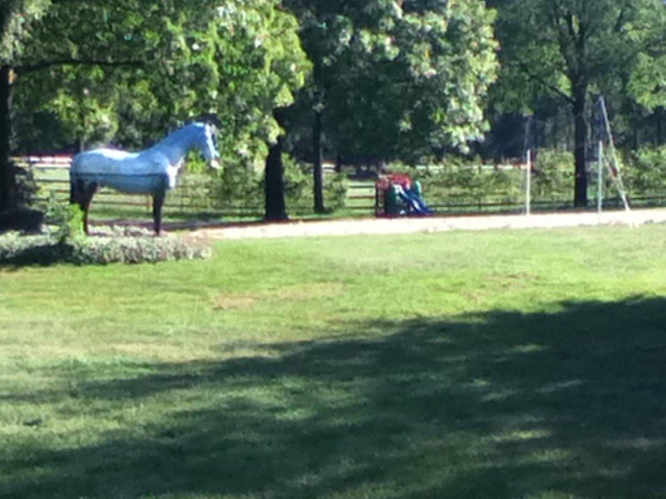 Kunst im Garten Bergmark Hotel