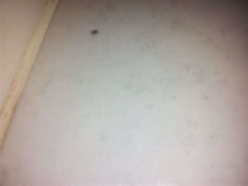 Mitbewohner Hotel Mezzaluna