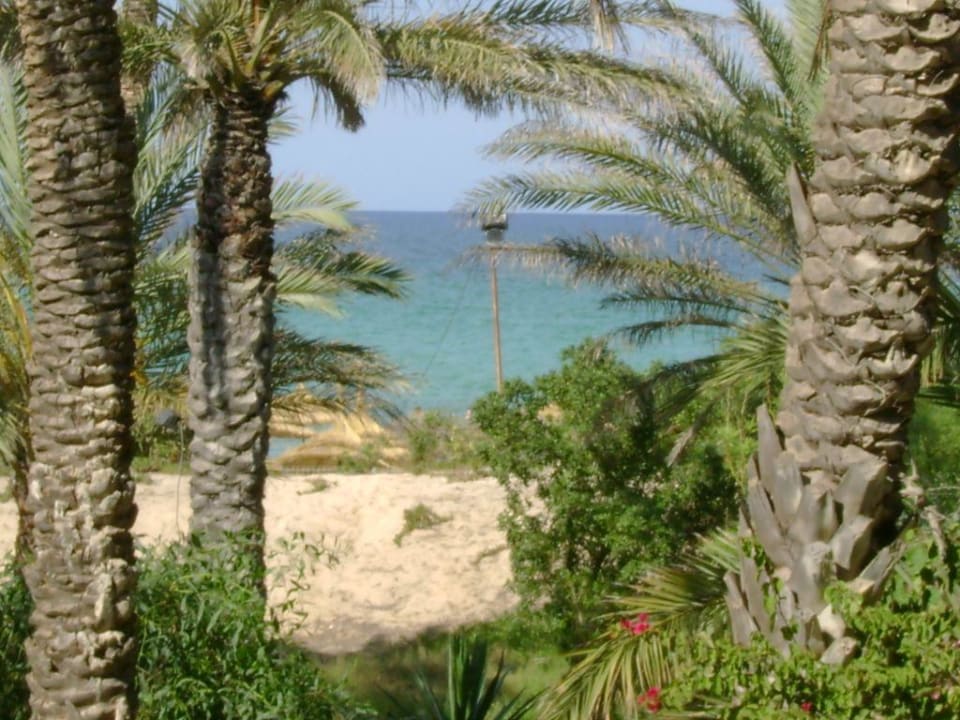 Blick aus unserem Zimmer El Ksar Resort & Thalasso