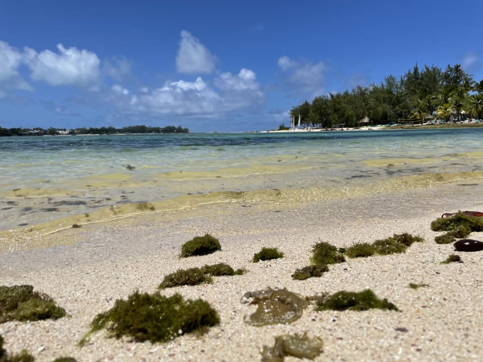 Strand Shandrani Beachcomber Resort & Spa