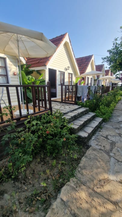 Zimmer Clover Magic Nova Beach