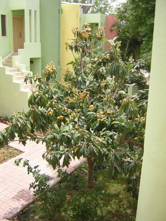 Anlage3 VONRESORT Golden Beach