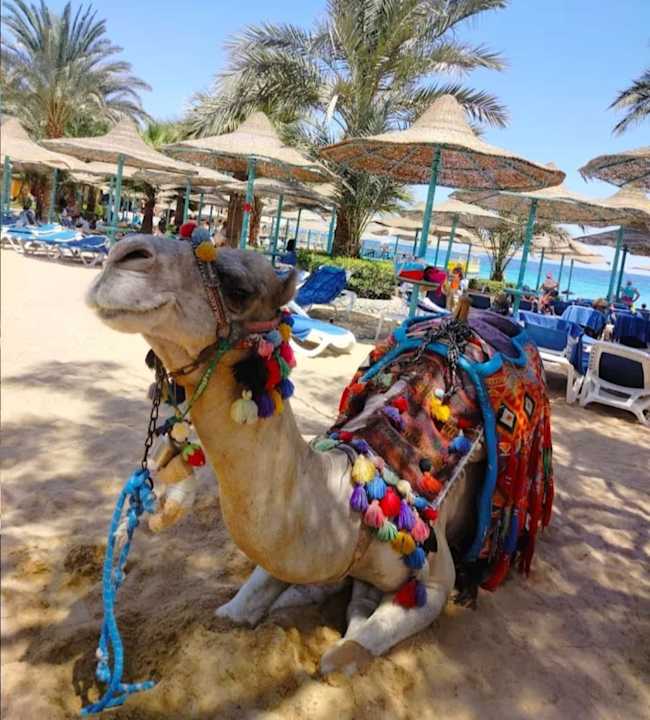 Sonstiges Bella Vista Resort Hurghada