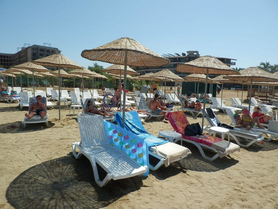 Strandliegen Dizalya Palm Garden