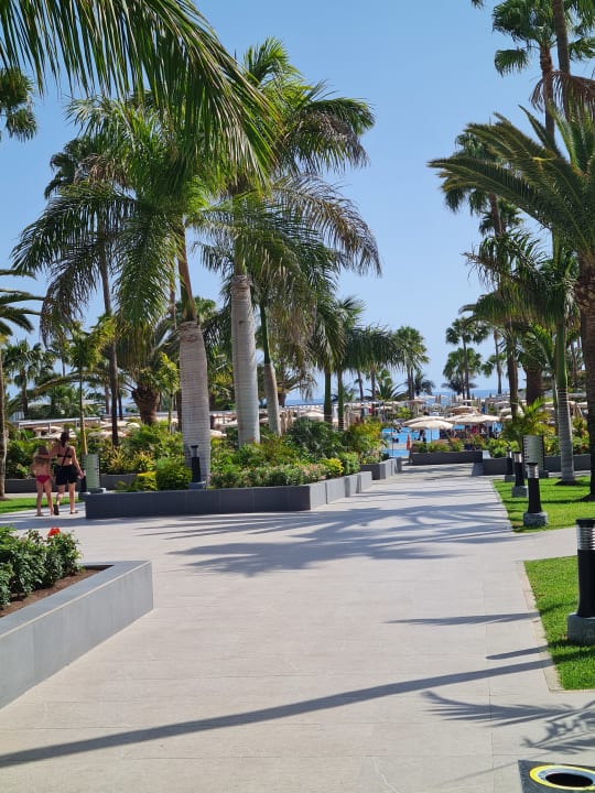 Gartenanlage Hotel Riu Gran Canaria