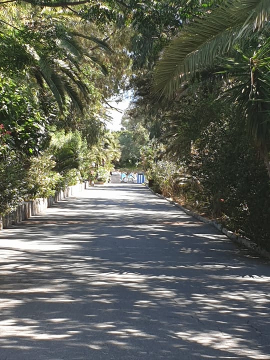 Gartenanlage Apollonia Beach Resort & Spa