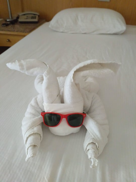 Zwierzak. Pickalbatros Aqua Park Resort - Hurghada