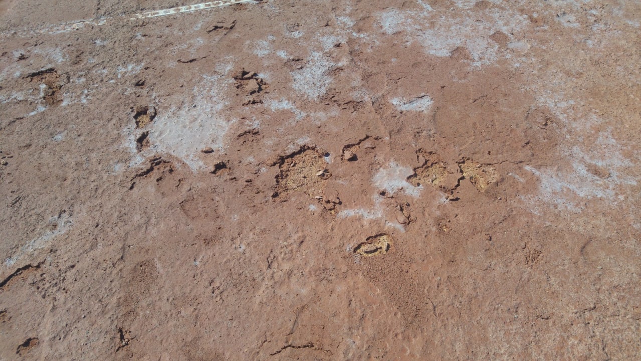 Sport & Freizeit Iberostar Waves Mehari Djerba