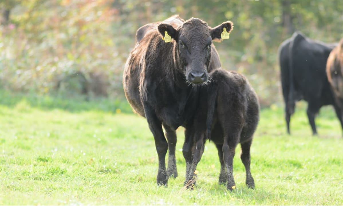 Sonstiges Hofgut Ratzenberg