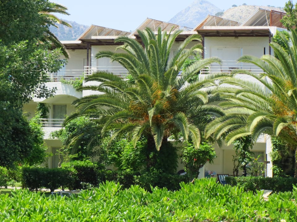 Außenansicht Apollonia Beach Resort & Spa