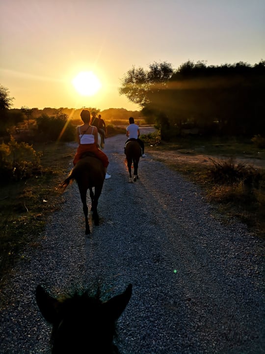 Sport & Freizeit Side Mare Resort & Spa