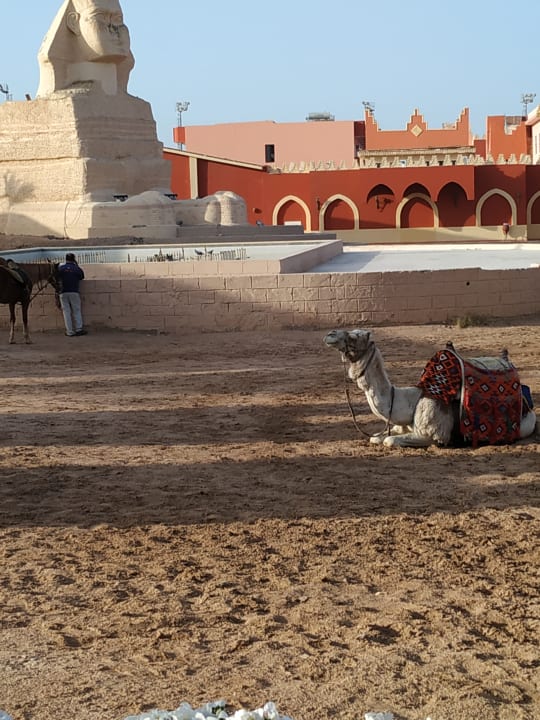 Sport & Freizeit Pickalbatros Alf Leila Wa Leila Resort - Neverland Hurghada