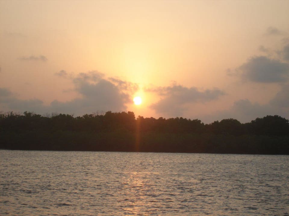 Заход солнца Hotel The Funzi Keys