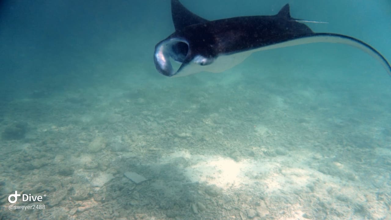 Sport & Freizeit Summer Island Maldives