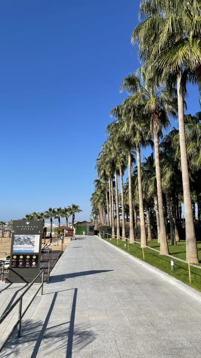 Gartenanlage Hotel Miramare Beach