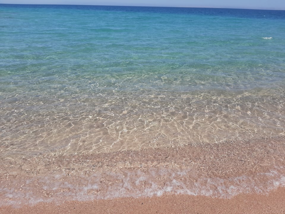 Strand Palm Beach Resort