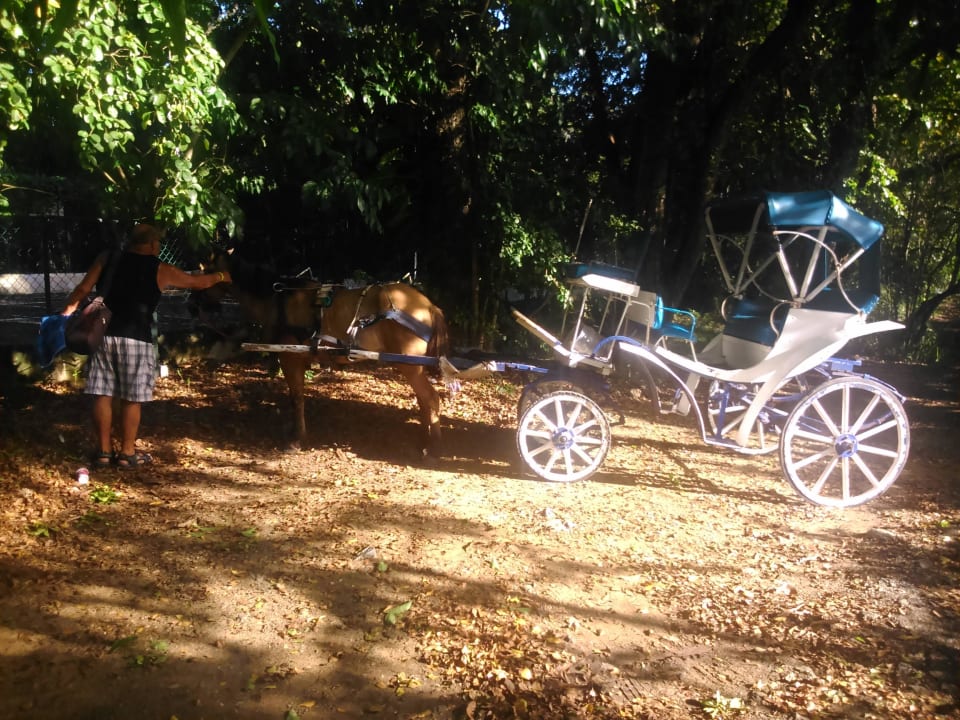 Am Weg zum Strand Puerto Plata Village