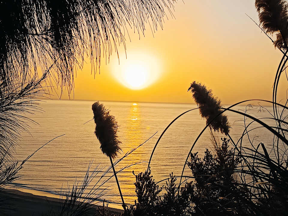 Ausblick Marina Playa Suite Hotel