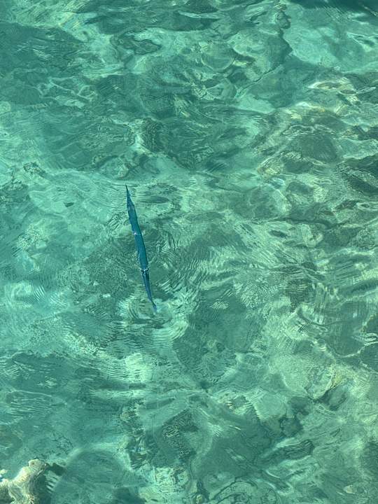 Strand SUNRISE Anjum Resort Marsa Alam