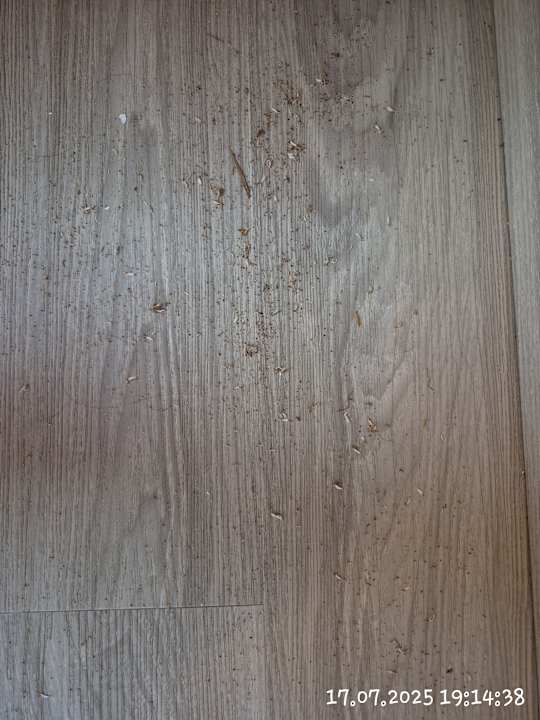 Zimmer SBH Hotel Taro Beach