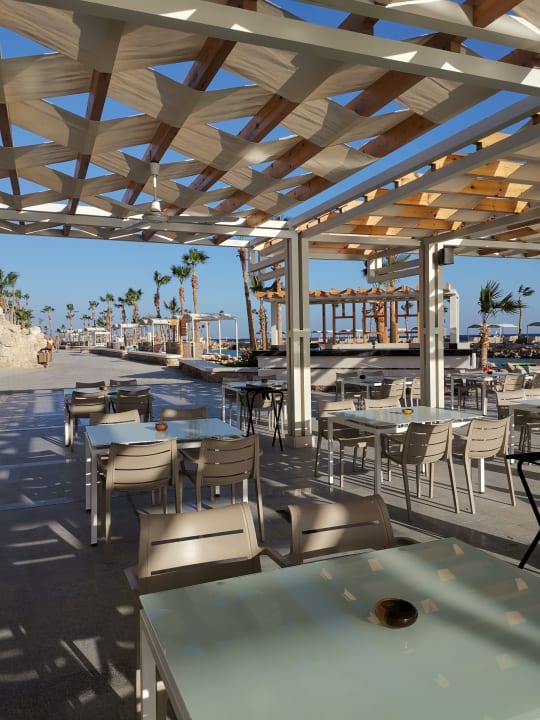 Gastro Pickalbatros Citadel Resort