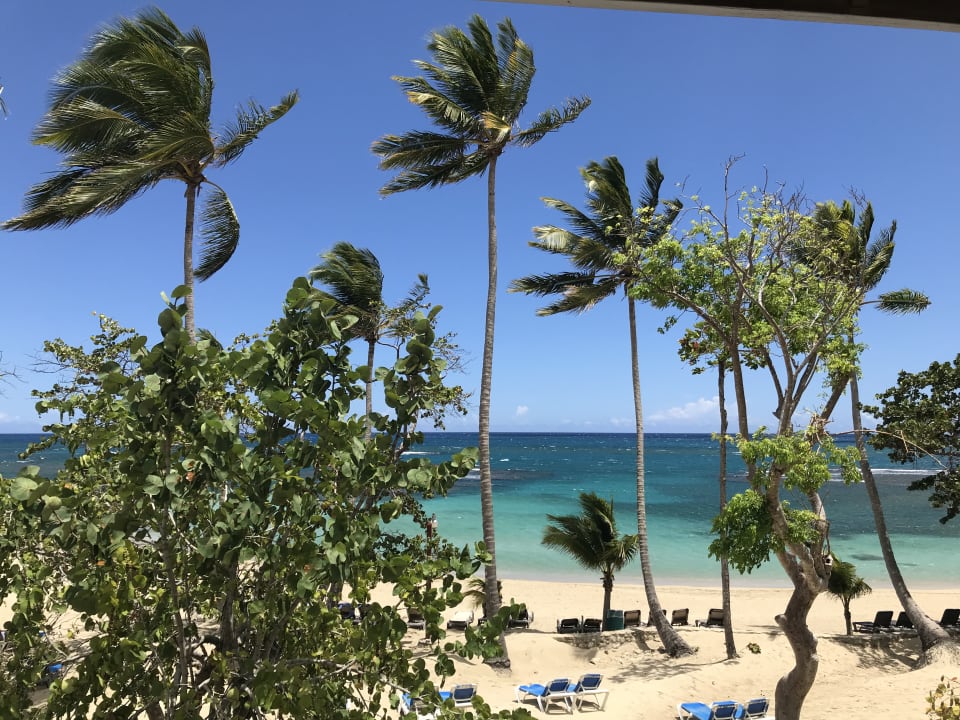 Ausblick Grand Paradise Playa Dorada