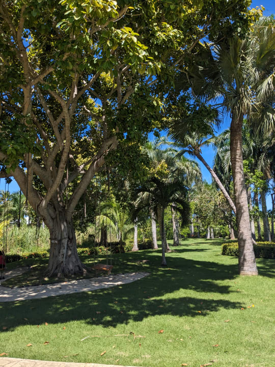 Gartenanlage Meliá Punta Cana Beach Resort - A Wellness Inclusive For Adults Only