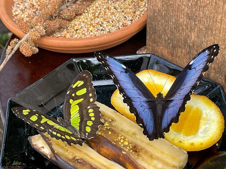 Sonstiges Hotel Zur Heidschnucke