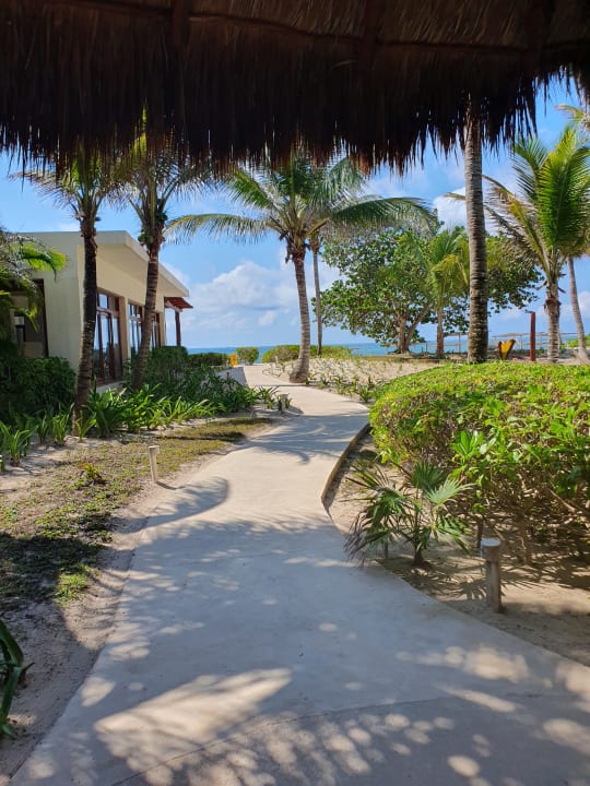 Gartenanlage Akumal Bay Beach & Wellness Resort