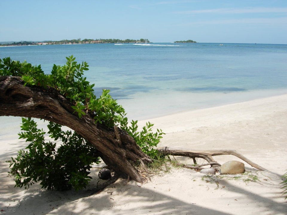 Hotelstrand Hotel Riu Negril