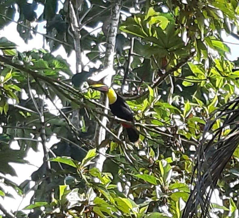 Gartenanlage Arenal Kioro