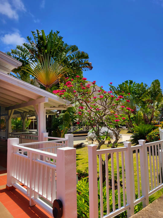 Gartenanlage Royalton Hicacos Resort & Spa - Adults only