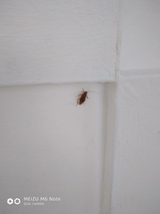 Lobby Sirenis Tropical Varadero