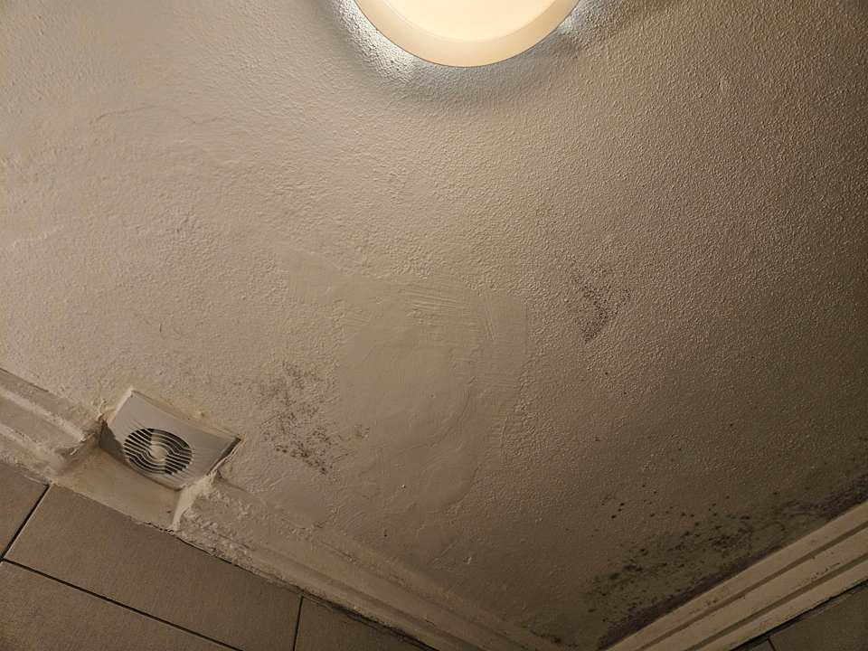 Zimmer Kamelya Aishen Club