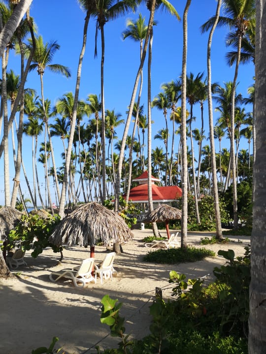 Strand Bahia Principe Luxury Bouganville