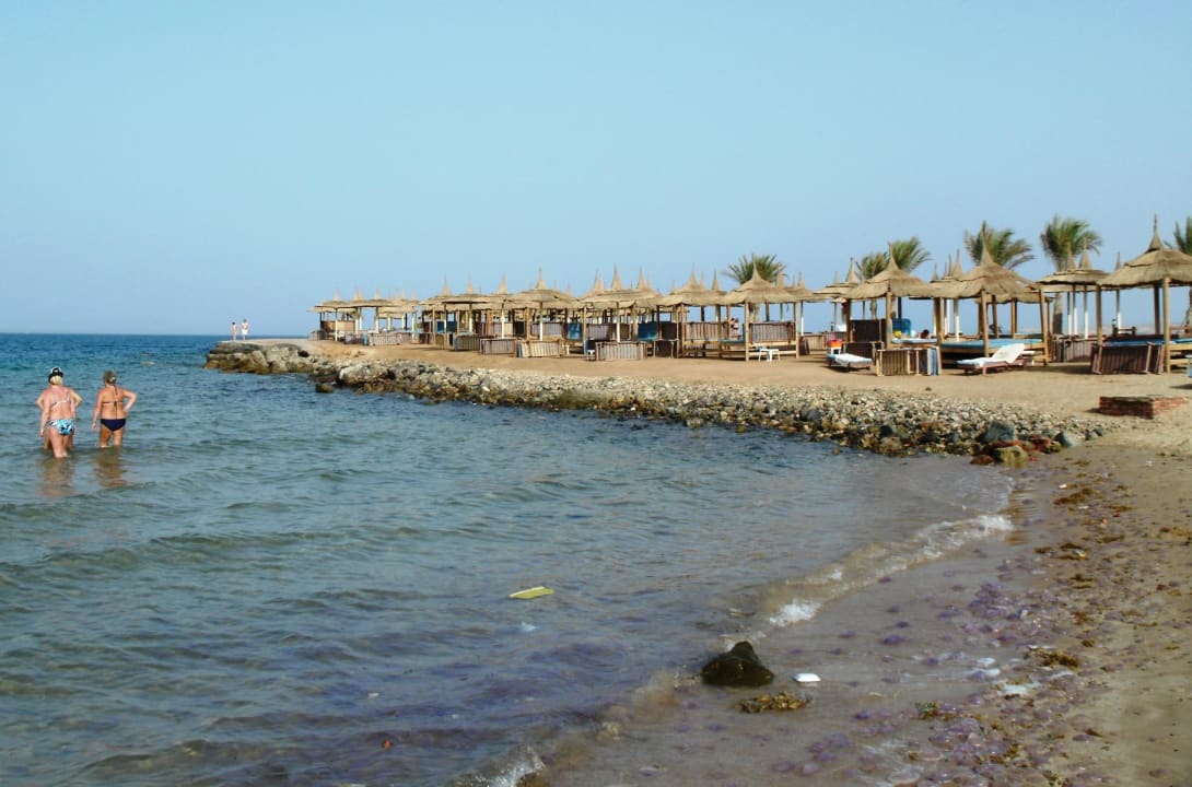 Linker Abschnitt mit tausenden Quallen Pickalbatros Aqua Park Resort - Hurghada