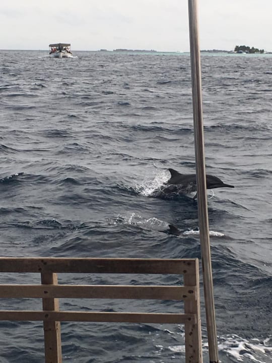 Strand Kuredu Island Resort & Spa