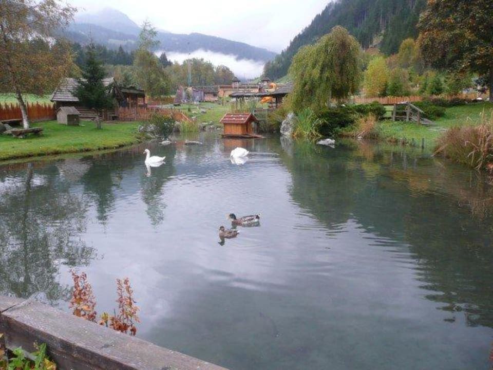 Natursee Alphotel Tyrol