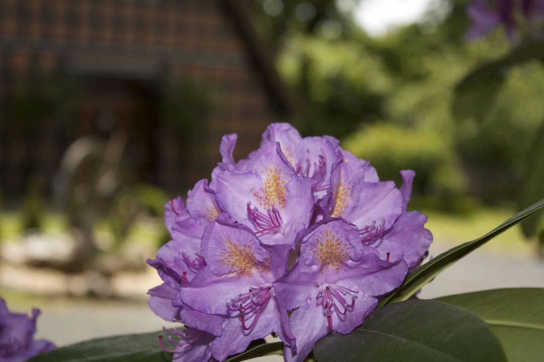 Ostehof Ferienhaus Ostehof Weertzen