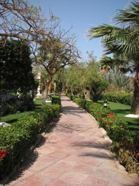 Weg JAZ Fayrouz